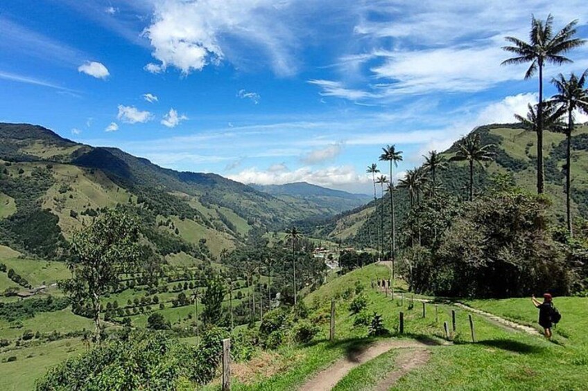 Cocora Valley Shared Tour 2