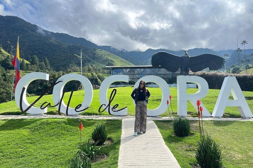 Cocora Valley Shared Tour 1