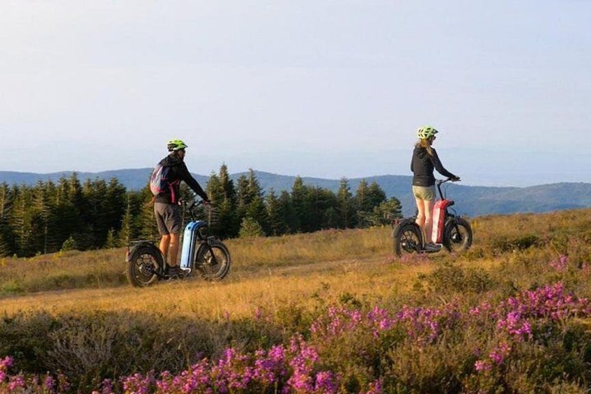Two people on electric bikes in a grassy field with purple flowers and a forest in the background. 1