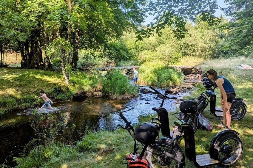 A person riding a bicycle through a shallow stream, surrounded by greenery and trees. 2