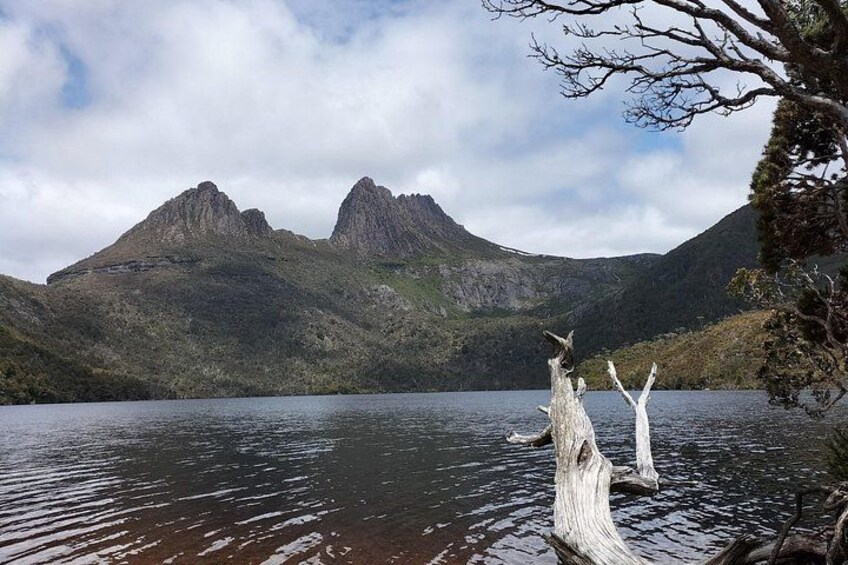 A lake with a dead tree in the foreground and mountains in the background. 5