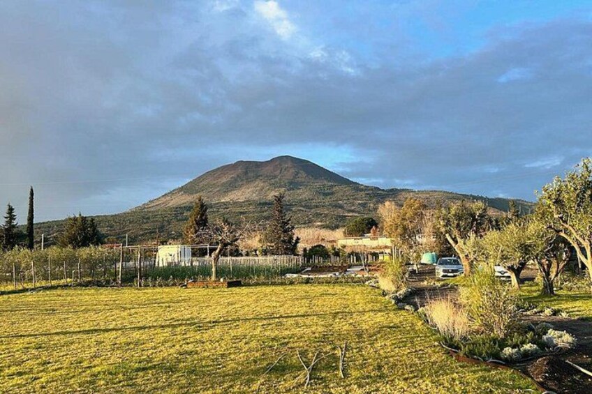 A mountainous landscape with a field in the foreground and a few buildings in the distance. 3