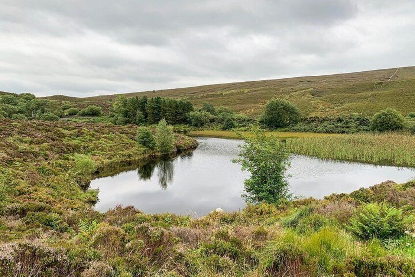 A calm lake surrounded by lush greenery and rolling hills. 2