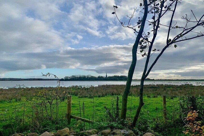 A grassy field with a fence, trees, and a body of water in the background. 3