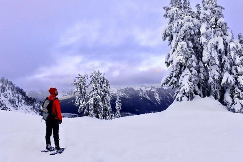 Una persona sobre tablas de snowboard en un paisaje nevado, con árboles y montañas cubiertas de nieve al fondo. 2