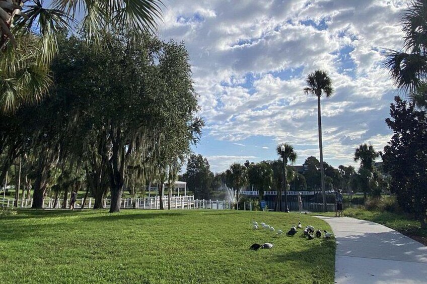 Audio Guide to New Port Richey's History and Quirky People 4