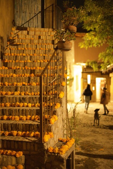 Un escalier orné de fleurs oranges, un chien et une personne qui marche au loin. 4