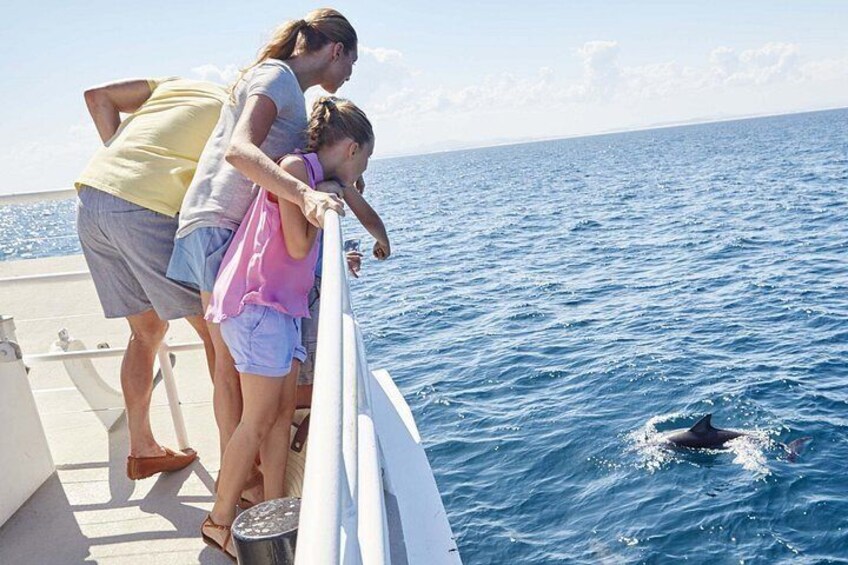 Newcastle: Port Stephens Dolphin Cruise & Wildlife Day Tour 2