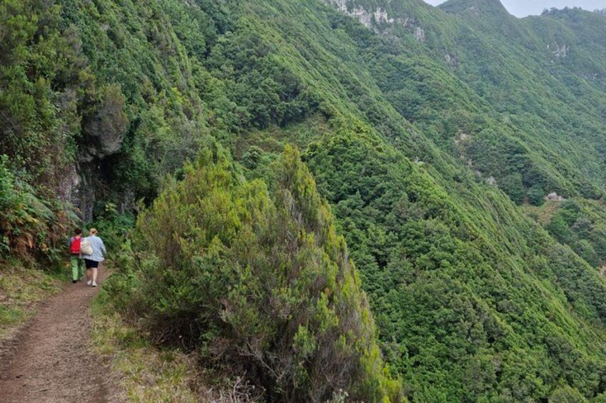 A hiking trail with dense forest and steep hills. 5
