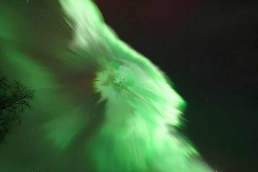 A green aurora borealis with a tree silhouette. 5