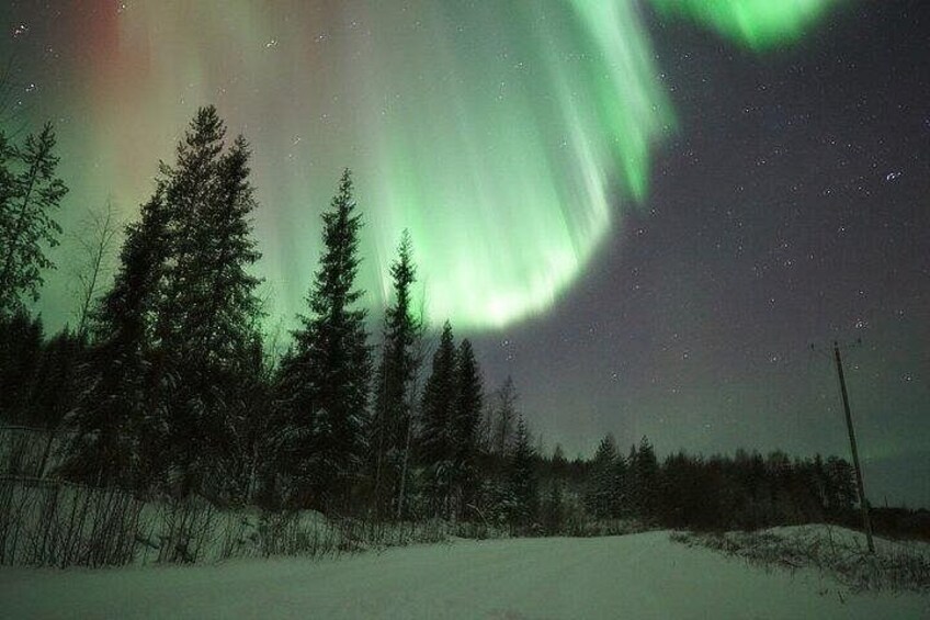 A snowy landscape with trees and the Northern Lights. 4