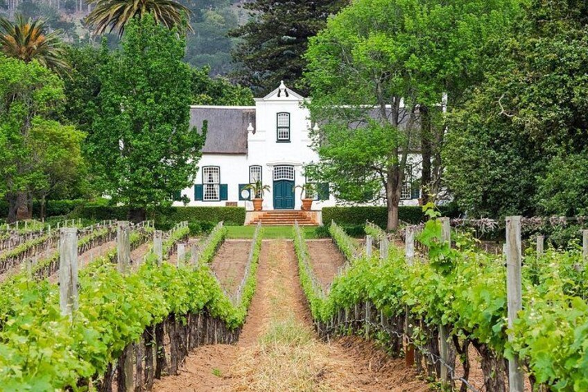 Uncork the Cape : Stellenboch Half Day Wine Tour 1