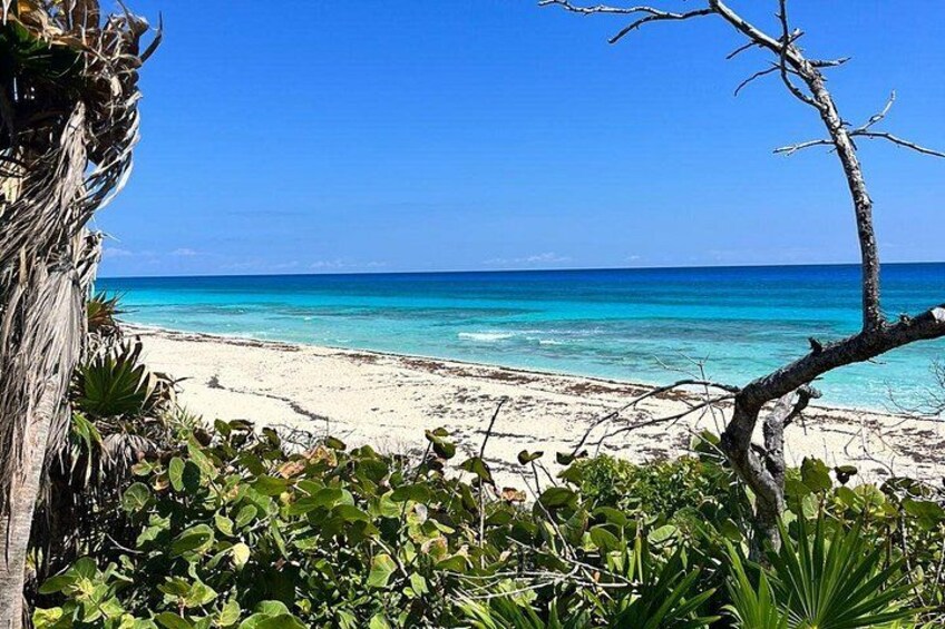 Private Mayan Ruins Tour with Cenote/caves and Mexican Picnic 3
