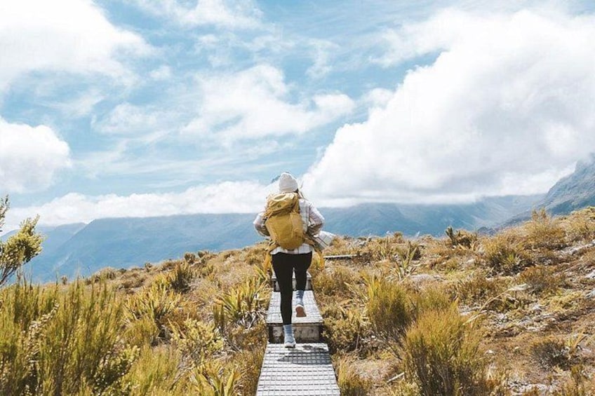 Guided day hike on NZ great walk - the Routeburn 1