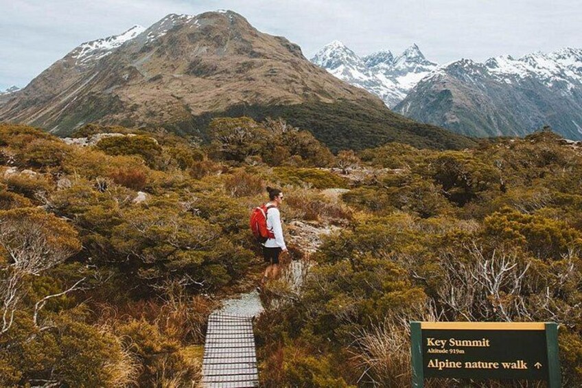 Iconic great walk of New Zealand 3