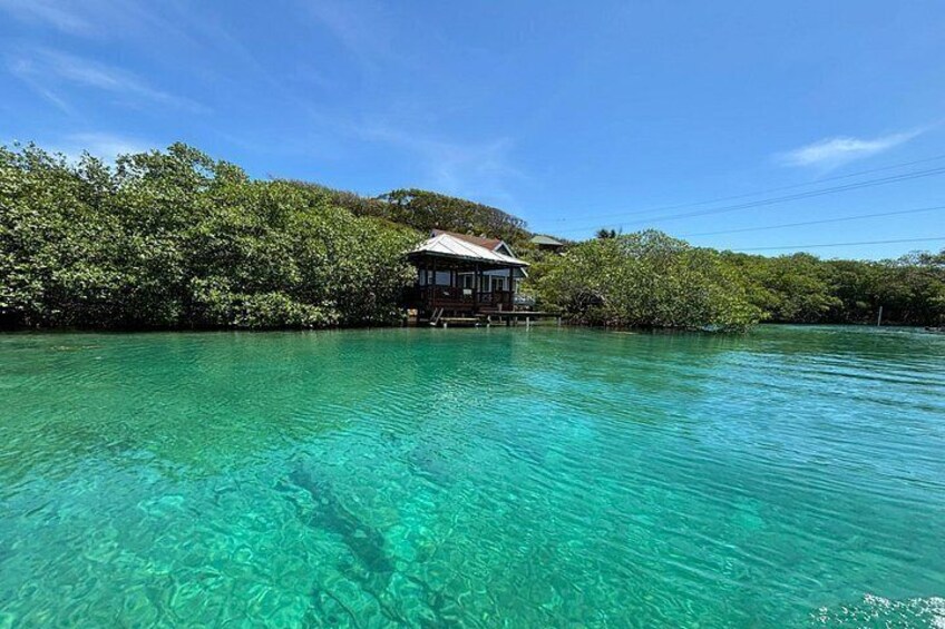 Una casa en una pequeña isla rodeada de agua turquesa cristalina y exuberante follaje verde. 5