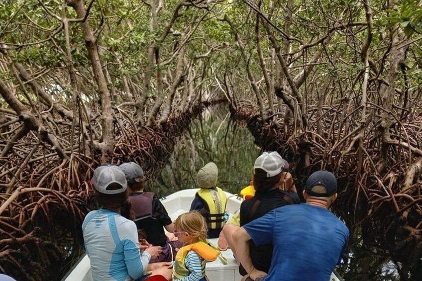 En grupp människor i en båt, omgiven av mangroveskog. 5