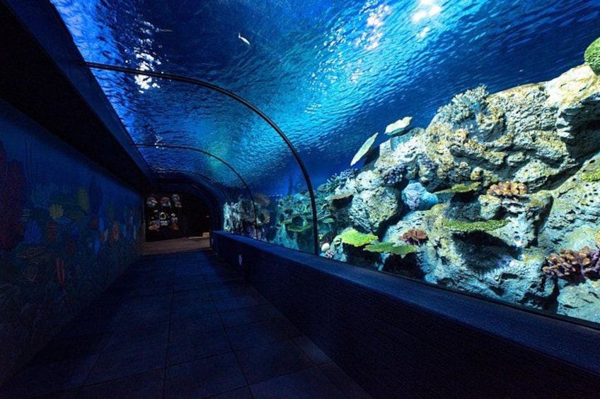 Full Day Pass Angkor Wildlife and Aquarium - Siem Reap 2