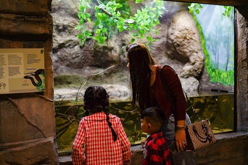 A woman and two children observing a fish tank. 3