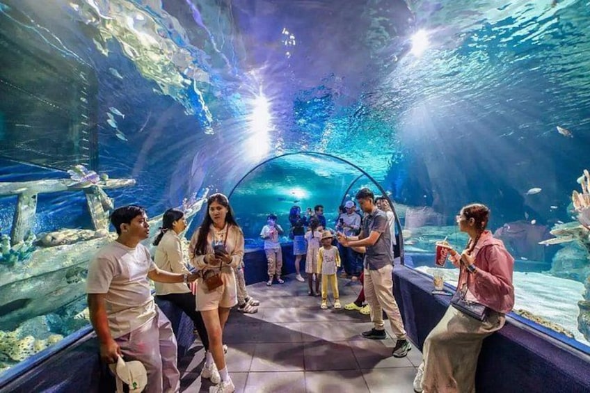 An aquarium with underwater exhibits, a tunnel, and visitors observing the marine life. 5