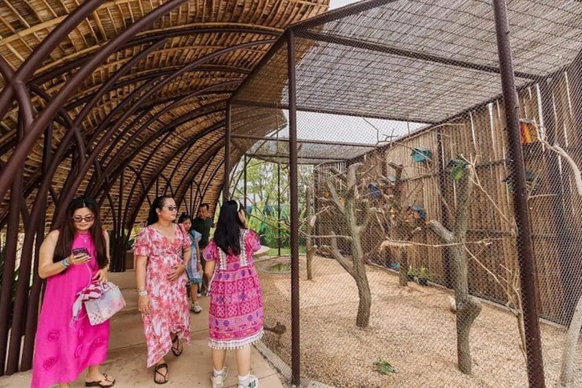 A covered walkway with a metal roof, surrounded by a fenced area with climbing plants and birdhouses. 2