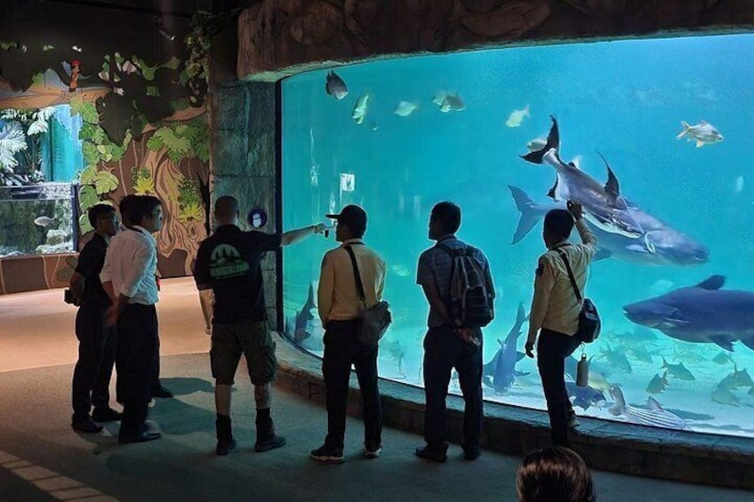 Acuario con grandes tanques de peces, personas observándolos y una pared rocosa con decoración de plantas. 5