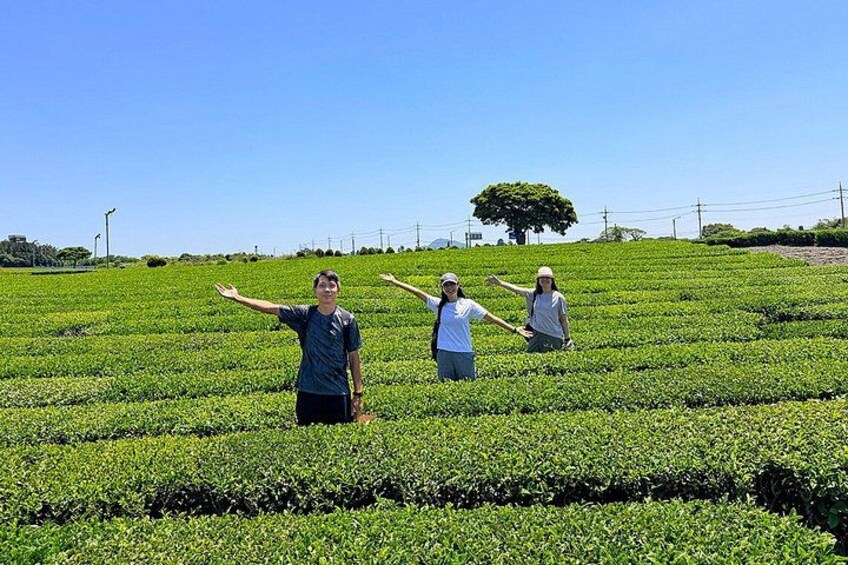 Jeju WestSouth One Day Authentic Tour with MT.Halla & UNESCO 5