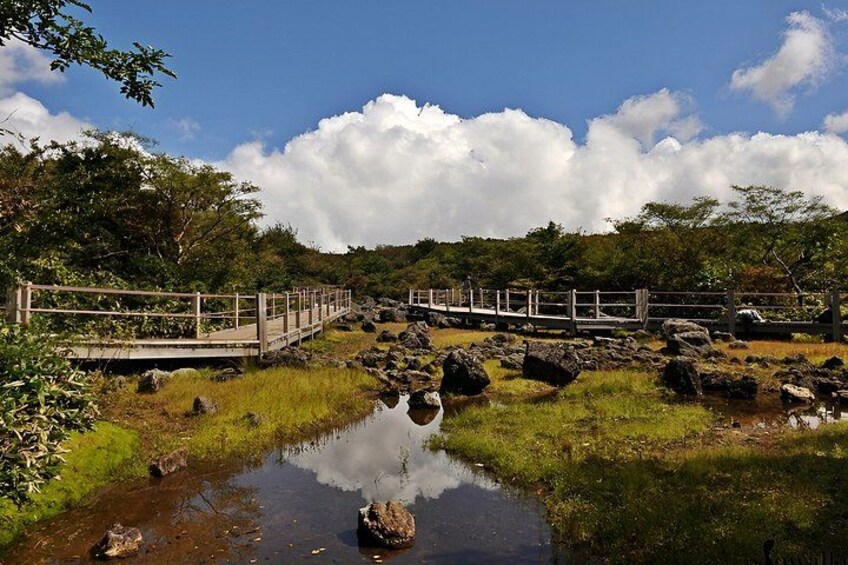 A wooden bridge over a small stream, surrounded by rocks and greenery. 2