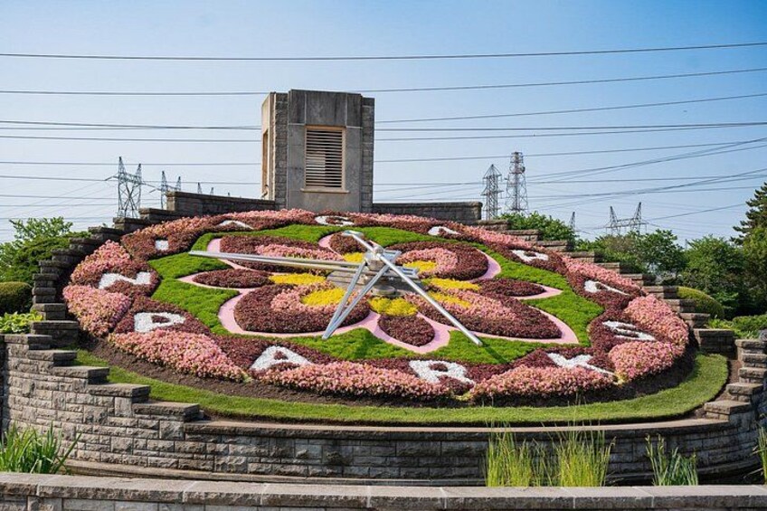 Un reloj floral circular con una estructura metálica central, rodeado por un jardín circular con flores rosas y verdes, frente a un cielo despejado y un edificio al fondo. 3