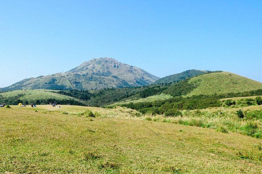 Yangmingshan Half Day Tour in Taipei 1