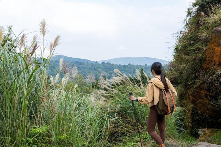 Yangmingshan Half Day Tour in Taipei 4