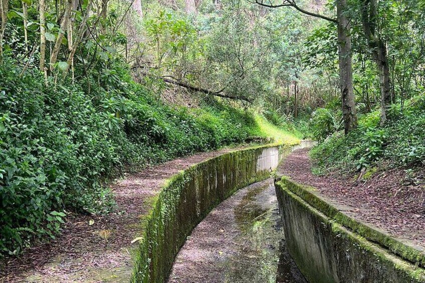 Old canal 1