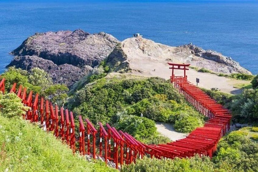 The Torii Tunnel of Motonosumi Shrine, with 123 red Torii gates extending along the hillside to the edge of the cliff, forms a beautiful landscape with the blue sky, green land and blue ocean. 4