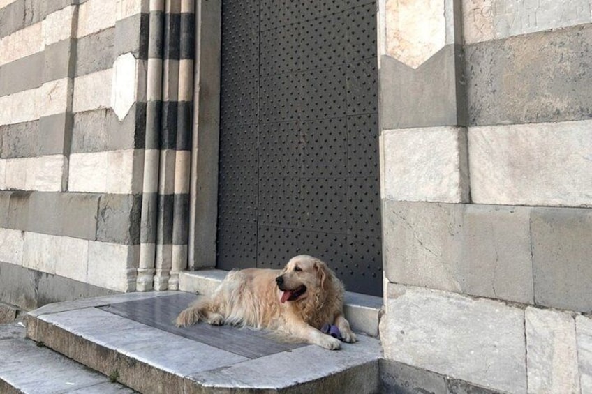 Genoa Food, Wine Tasting & History Walking Tour 2