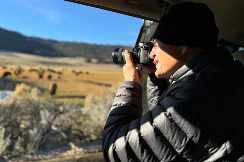 Abundant opportunities to photograph bison. 4