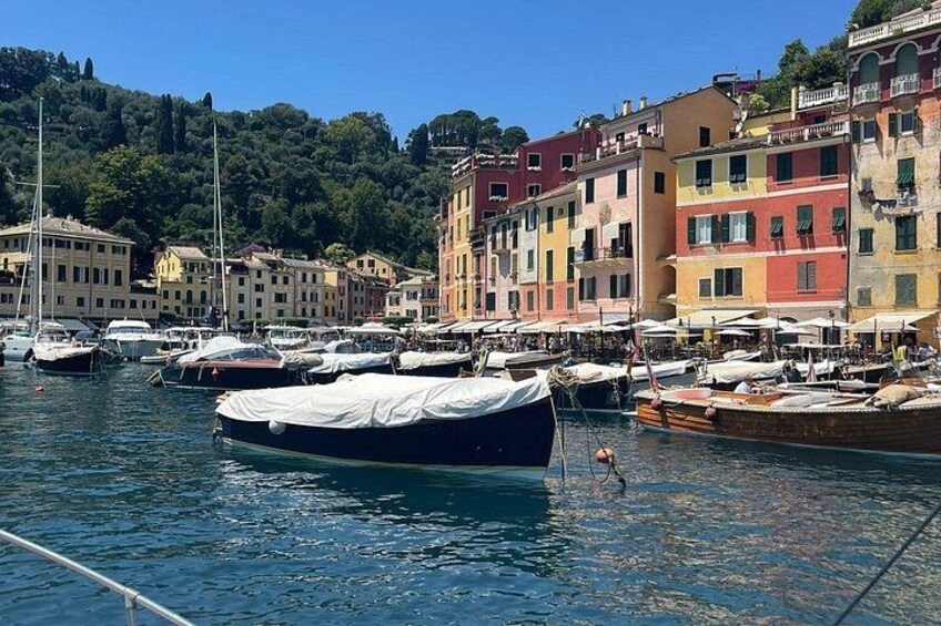Private boat tour in the Tigullio and in the Portofino area 2