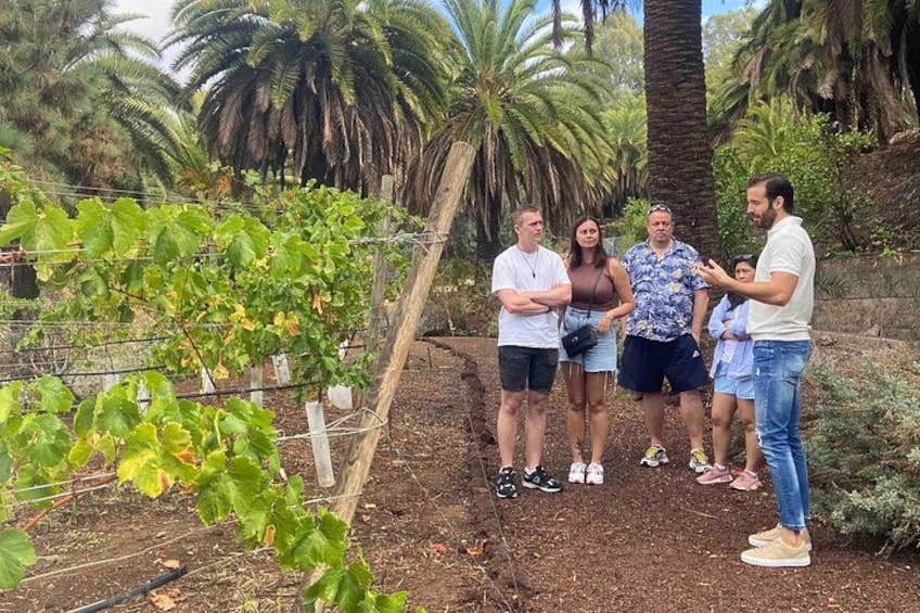Een groep mensen staat in een tuin, met wijnranken en palmbomen op de achtergrond. 1