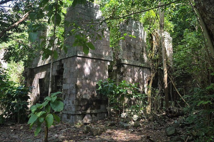 Ruins at the Cabrits National Park 4
