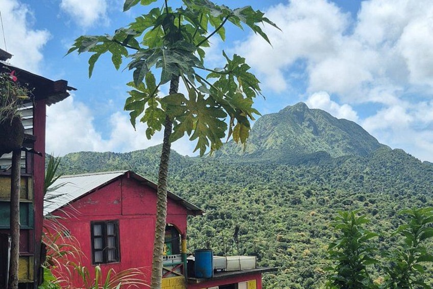 Dominica Waterfalls Full Day Private Expedition @ AUTOP TOURS 3