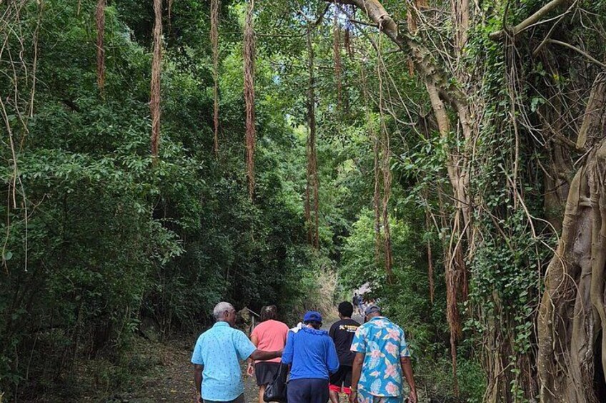 A group of people walking through a dense forest. 3