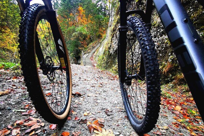 Explore Lucerne’s Hidden Gems Sunset City Cycling Tour 3