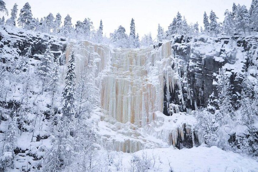 A snow-covered waterfall surrounded by trees. 1
