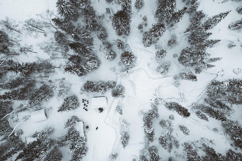 A snowy forest with a clear path leading to a cabin. 4