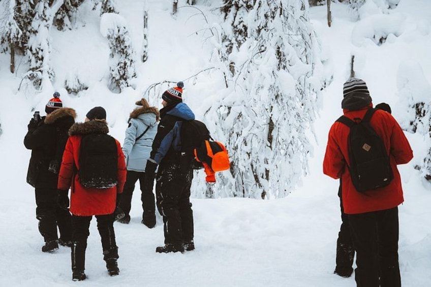 A group of people in winter clothing standing in a snowy forest. 3