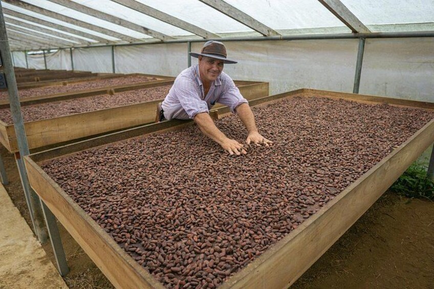 Een persoon in een kas, omringd door grote bakken met cacaobonen. 5