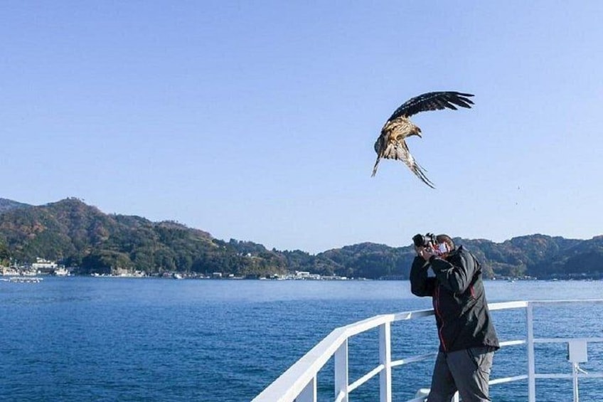 En person fotograferar en fågel i flykten över ett vattenområde, med kullar i bakgrunden. 3