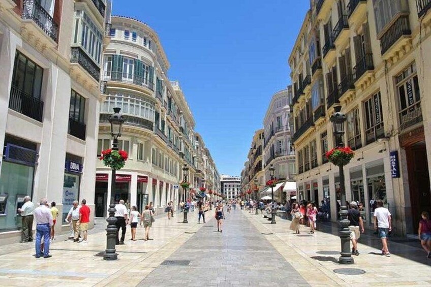 Private Day Trip to Malaga from Costa del Sol 1