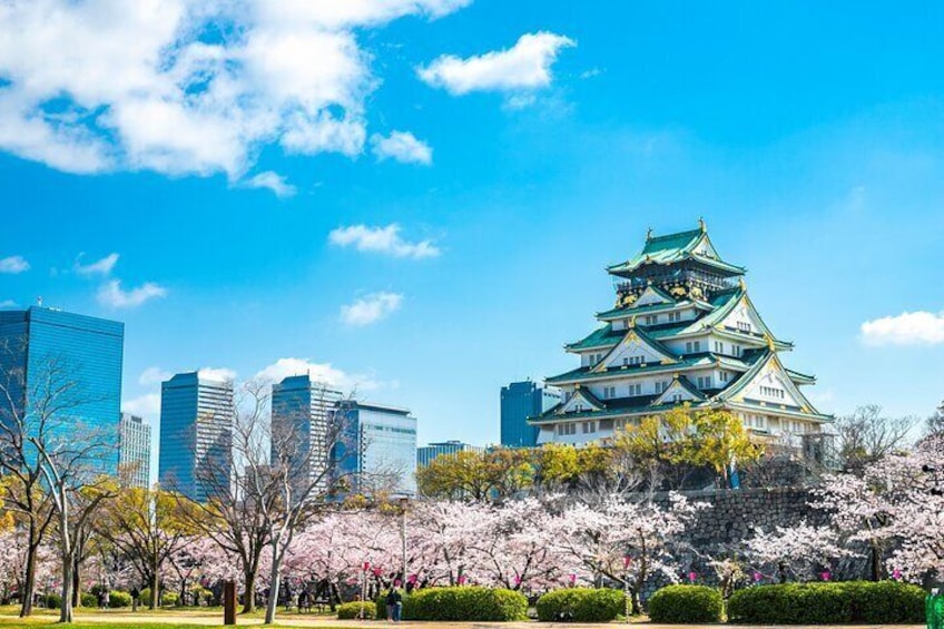 Osaka Highlights Private Tour with Local driver 1