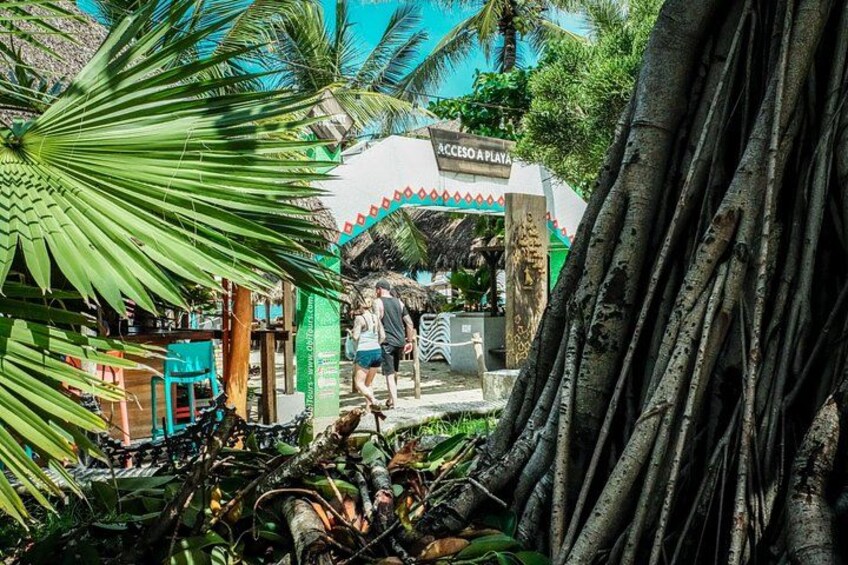 Sayulita & San Pancho: Private Day Trip from Puerto Vallarta 4