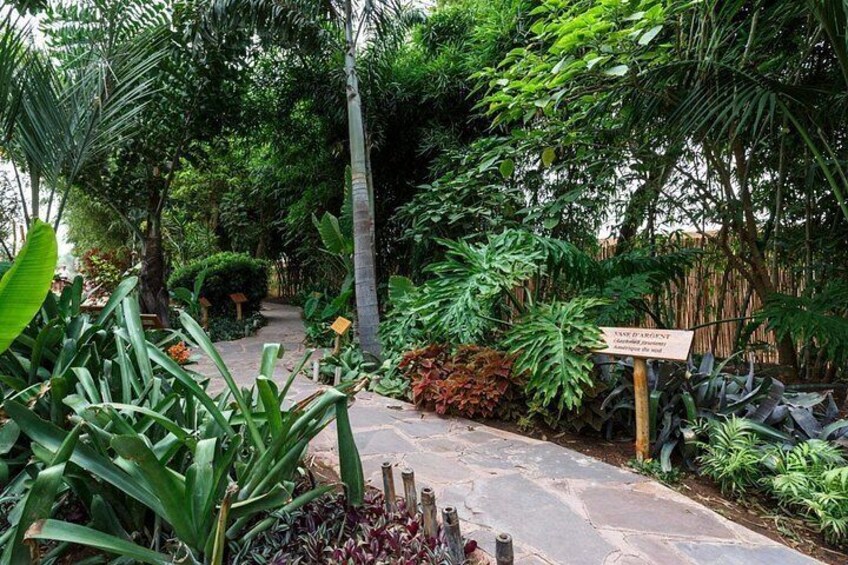 A garden pathway surrounded by lush greenery and a signpost. 3